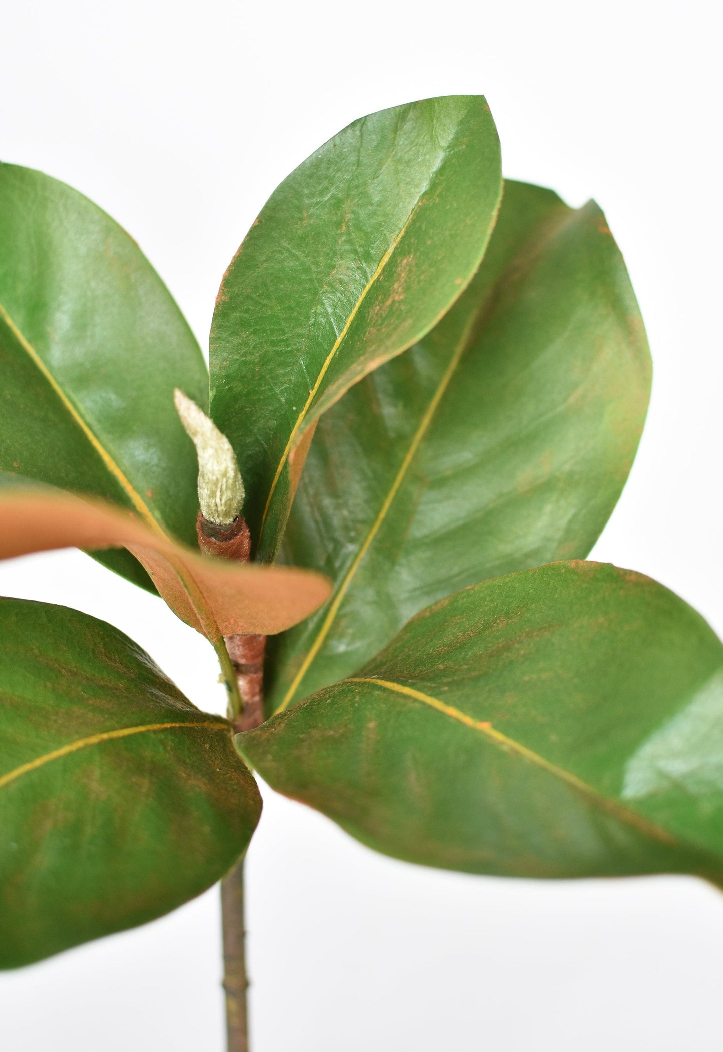 14" Faux Magnolia Leaf Stem (online exclusive)