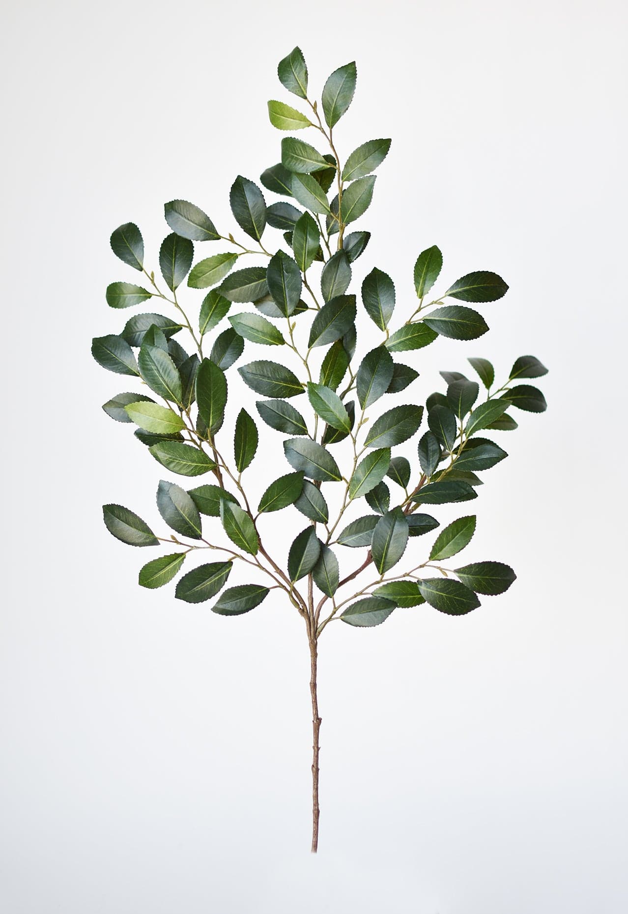 26" Faux Ruscus Leaf Stem  (online exclusive)
