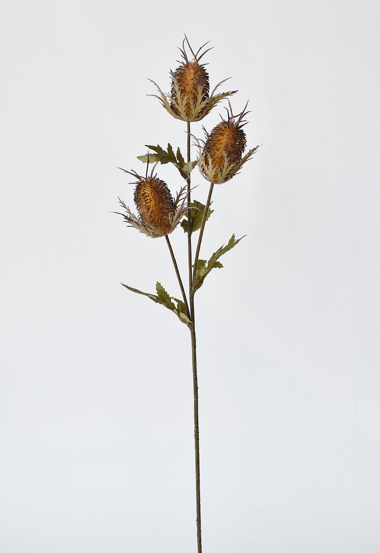 26" Faux Brown Thistle Stem (Online exclusive)