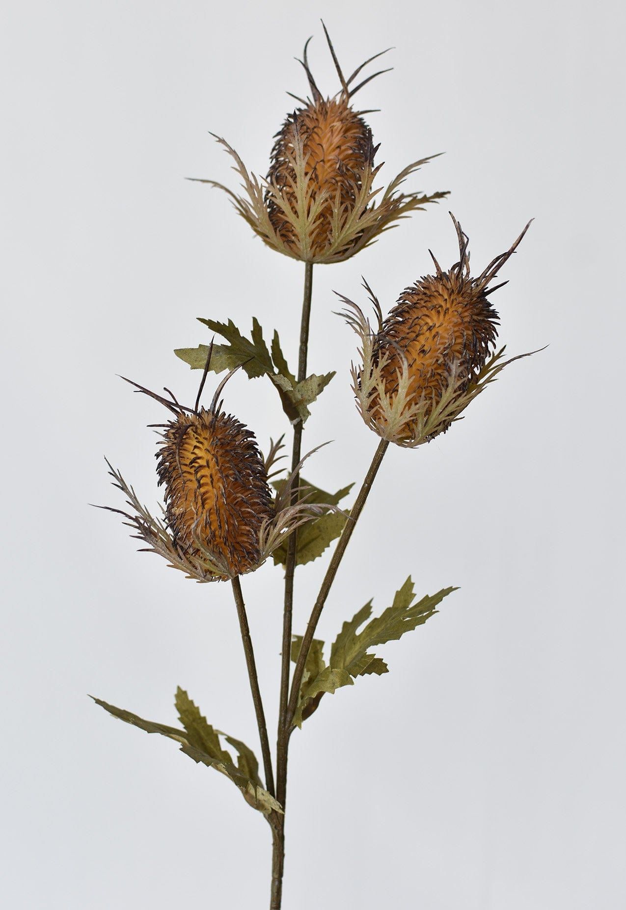 26" Faux Brown Thistle Stem (Online exclusive)