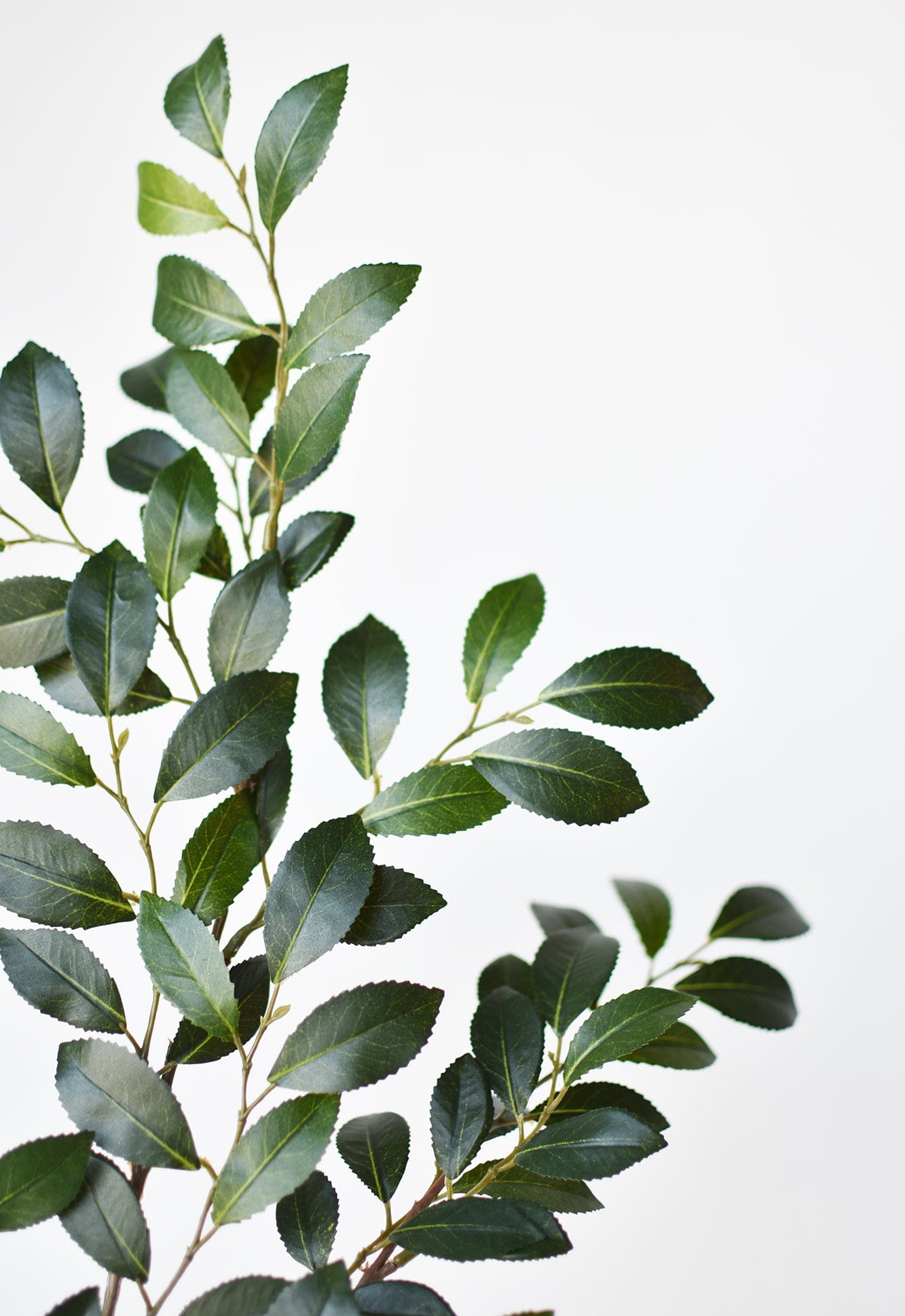 26" Faux Ruscus Leaf Stem  (online exclusive)