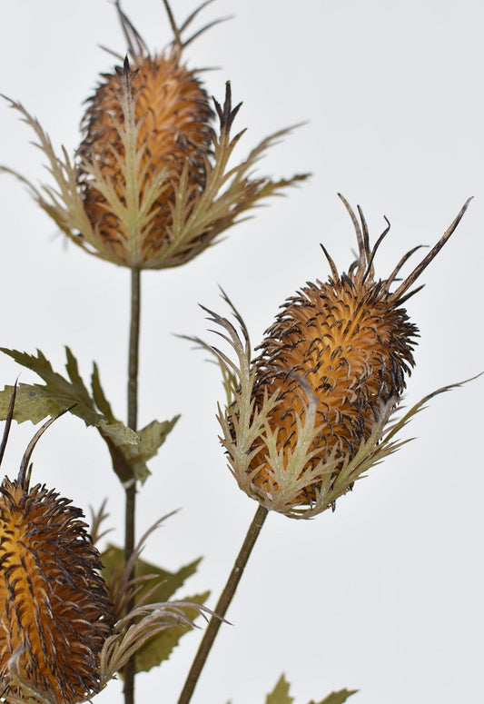 26" Faux Brown Thistle Stem (Online exclusive)