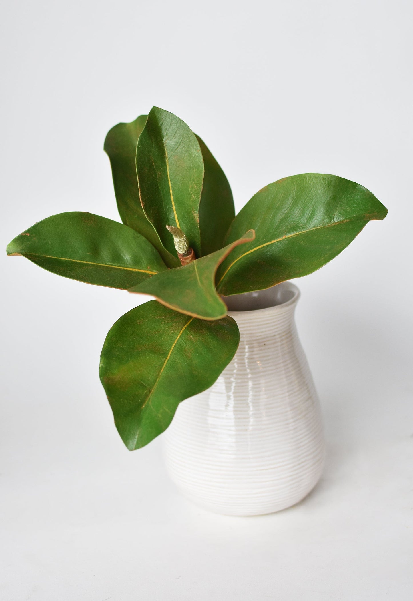 14" Faux Magnolia Leaf Stem (online exclusive)