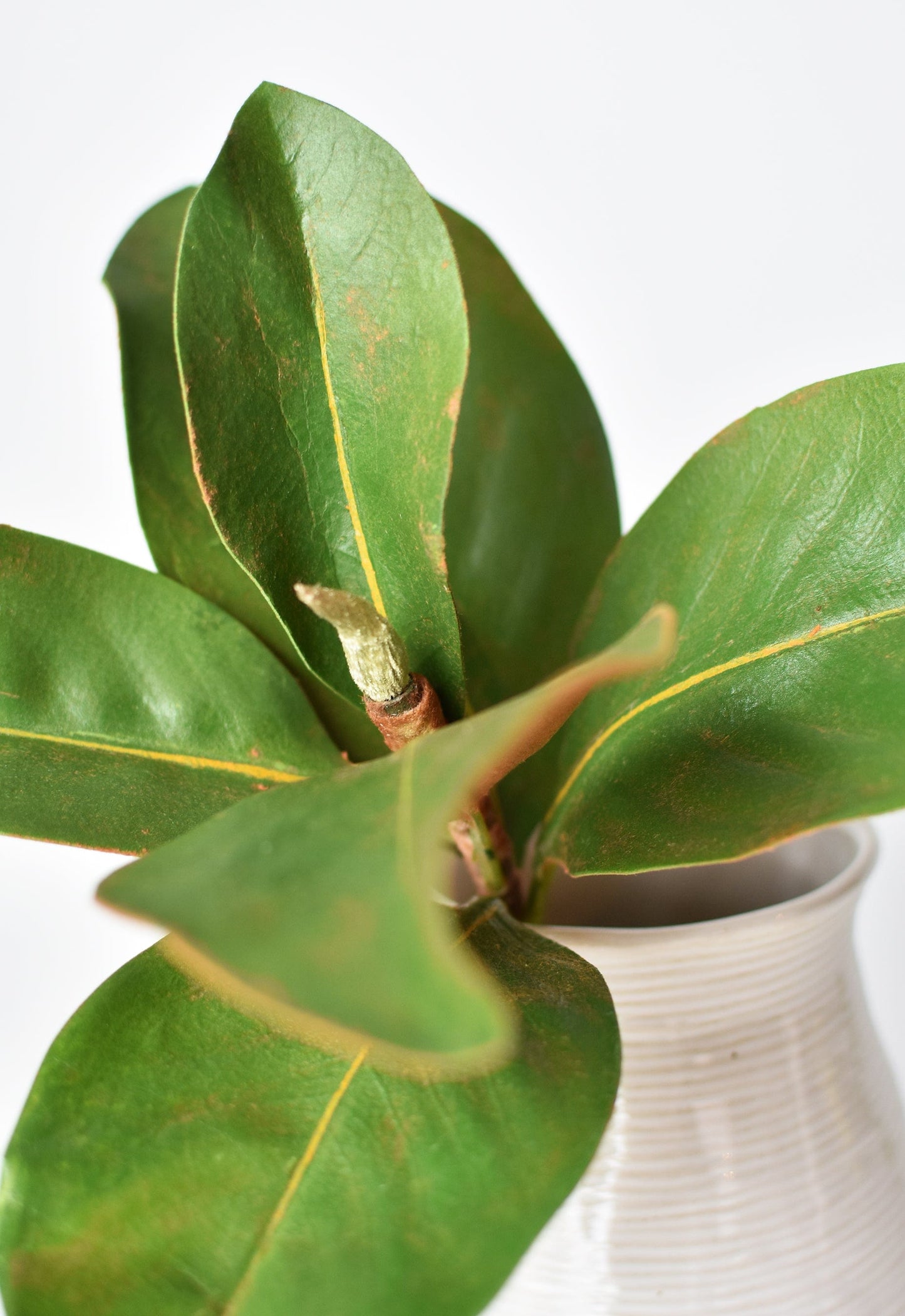 14" Faux Magnolia Leaf Stem (online exclusive)