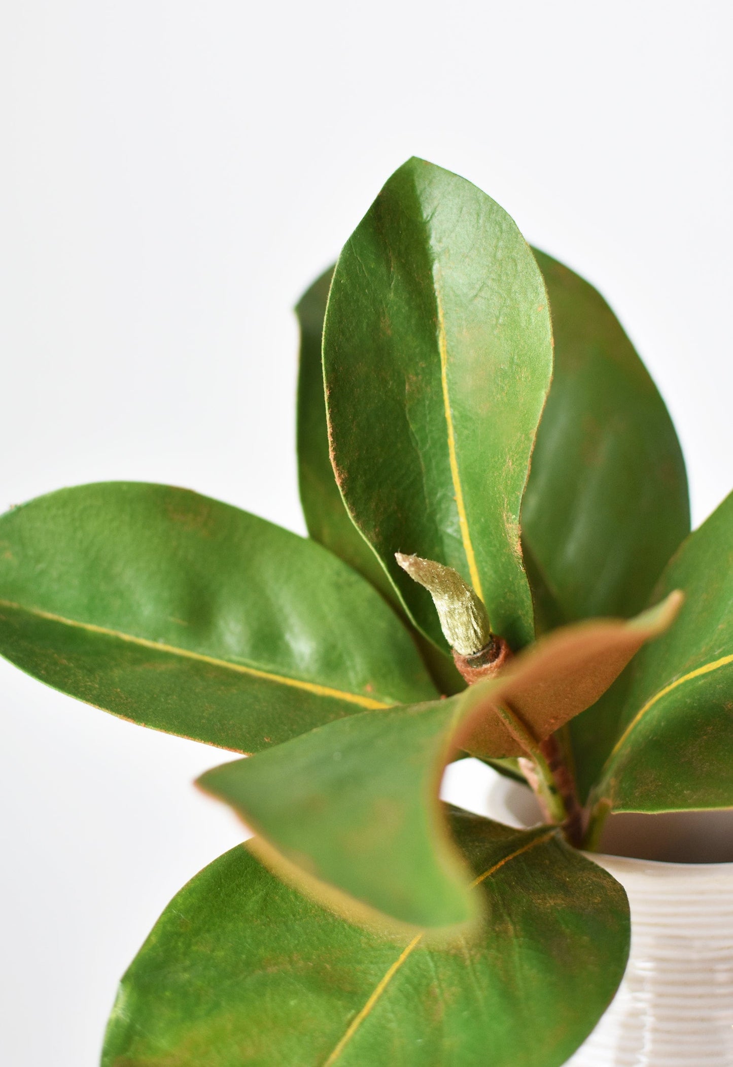 14" Faux Magnolia Leaf Stem (online exclusive)