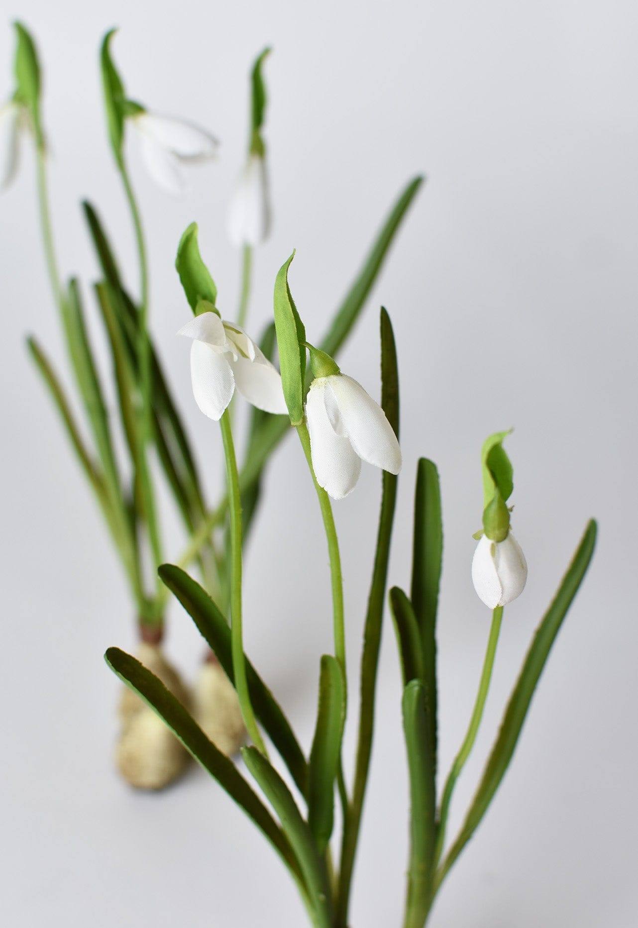 10" Faux Standing Snowdrop w/Bulb (Online exclusive)