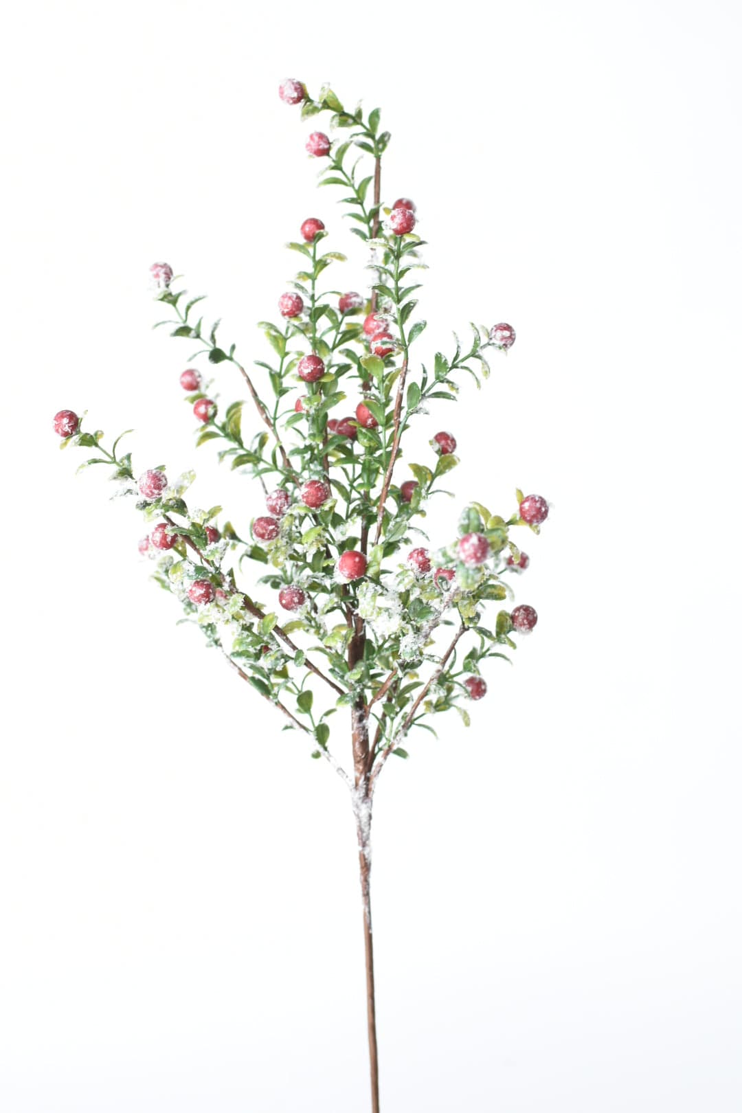 21" Faux Frosted Greenery with Red Berry Stem (Online Exclusive)