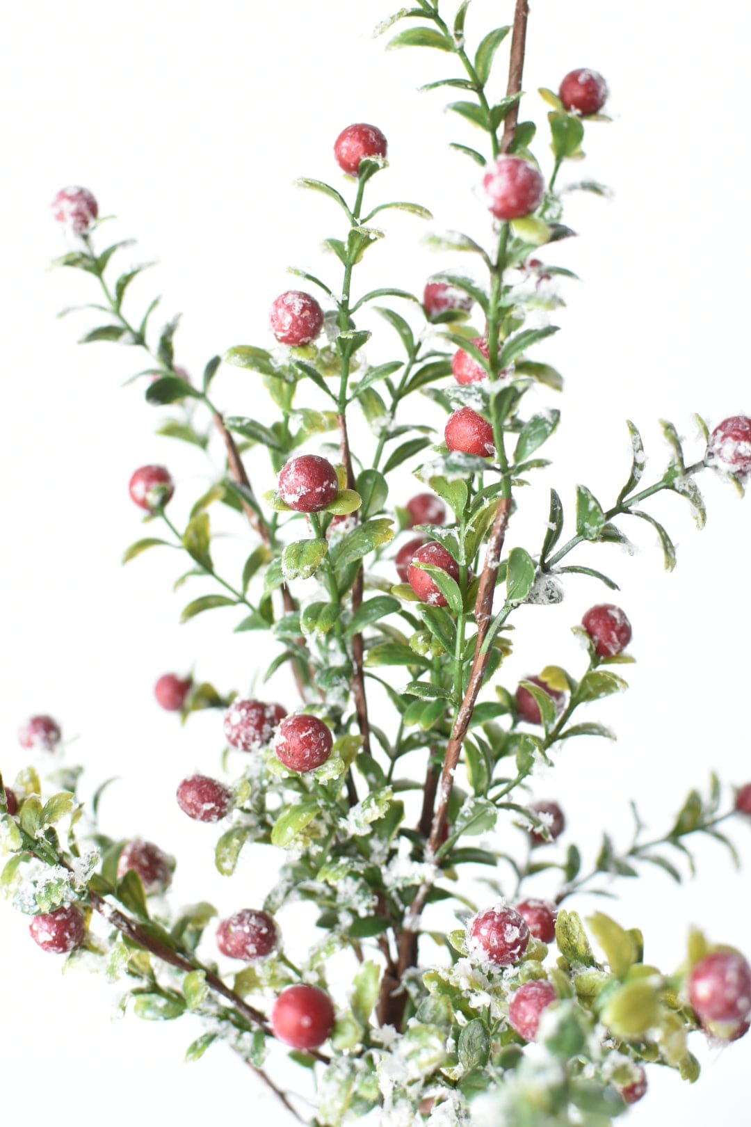 21" Faux Frosted Greenery with Red Berry Stem (Online Exclusive)