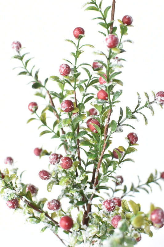 21" Faux Frosted Greenery with Red Berry Stem (Online Exclusive)