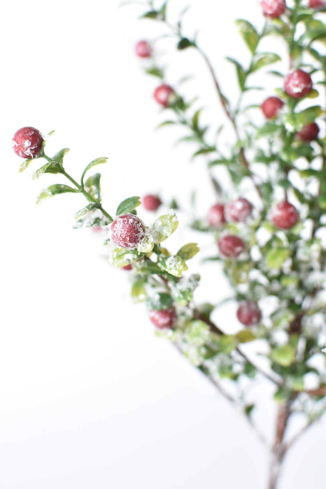 21" Faux Frosted Greenery with Red Berry Stem (Online Exclusive)