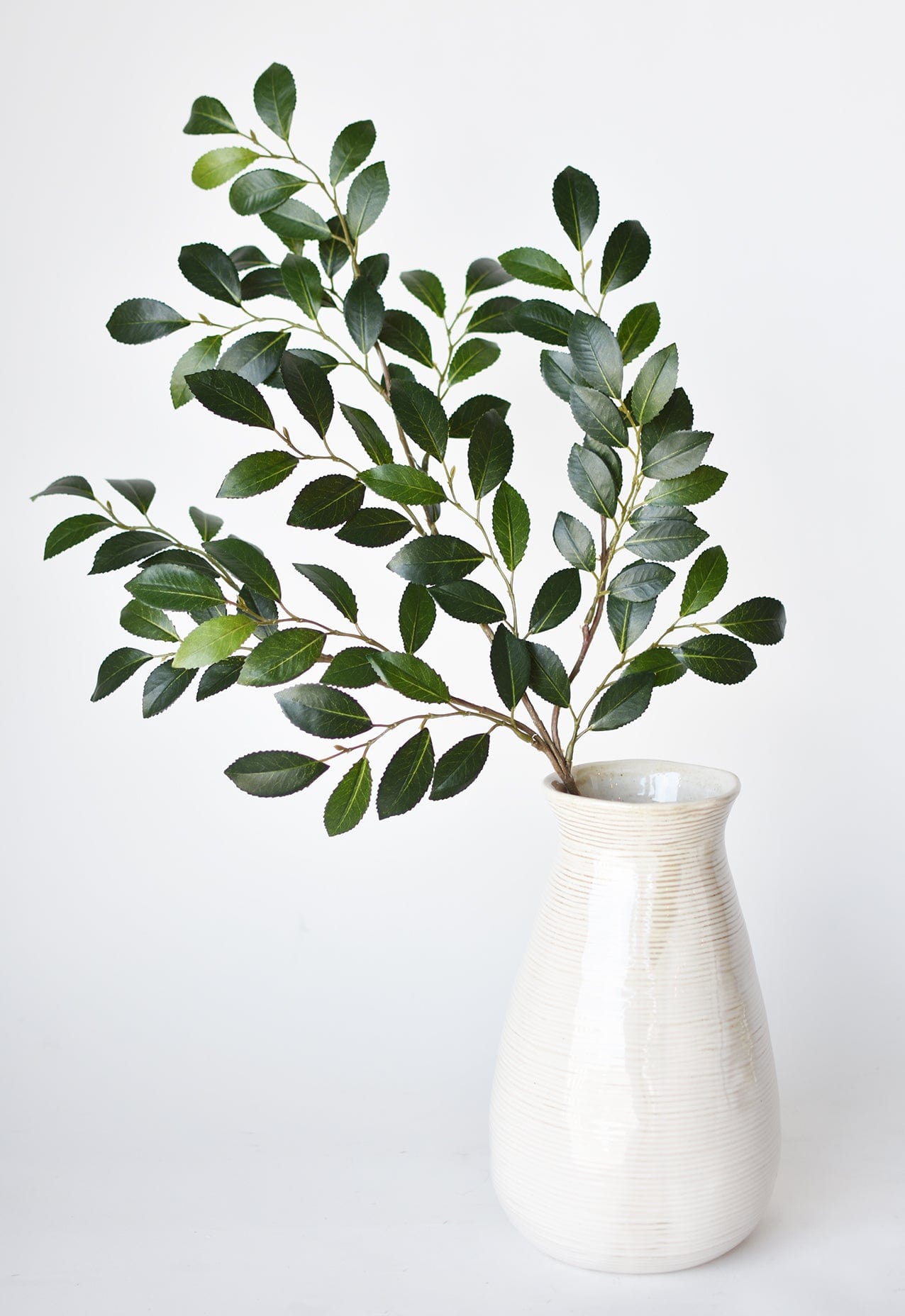26" Faux Ruscus Leaf Stem  (online exclusive)