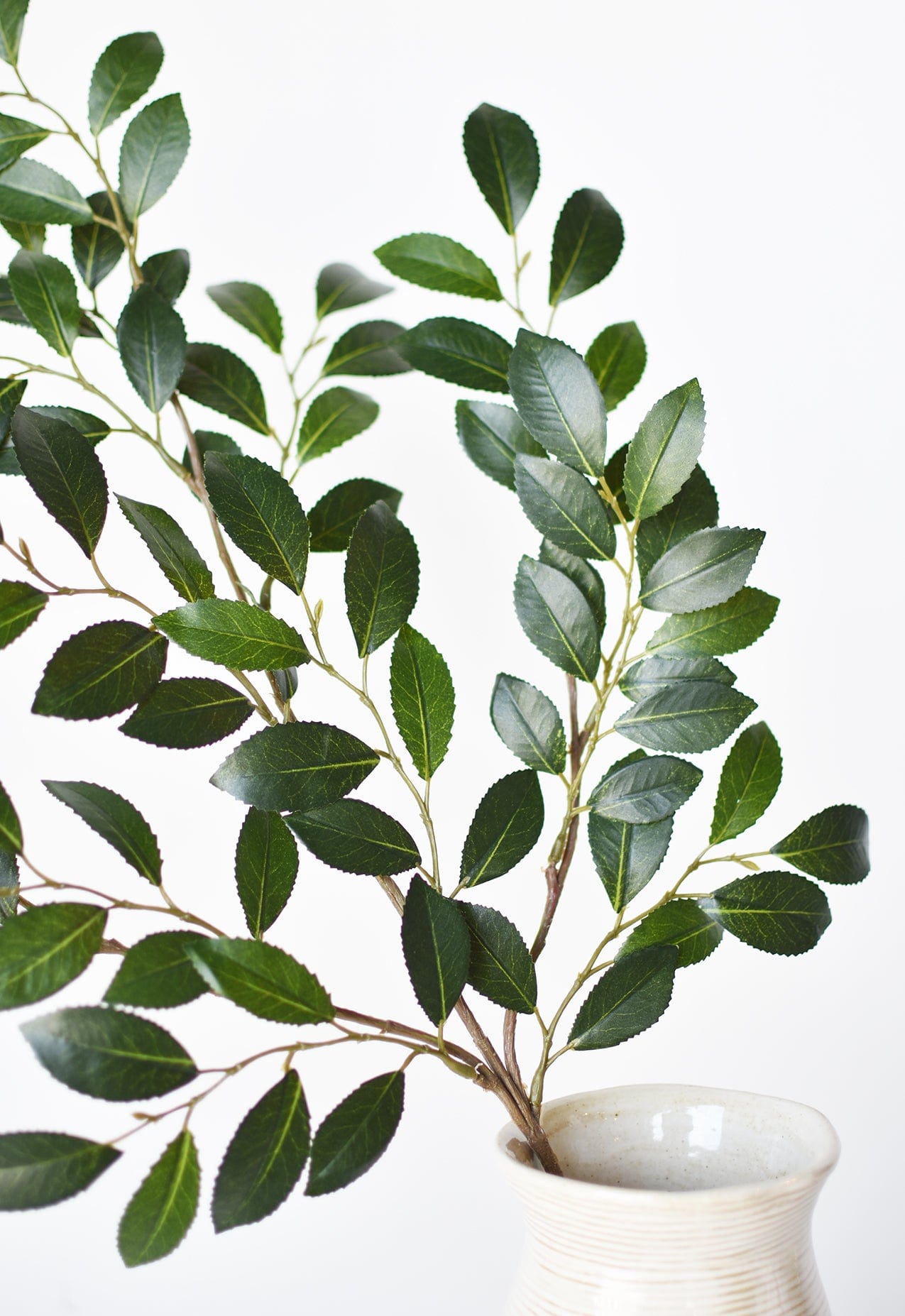 26" Faux Ruscus Leaf Stem  (online exclusive)