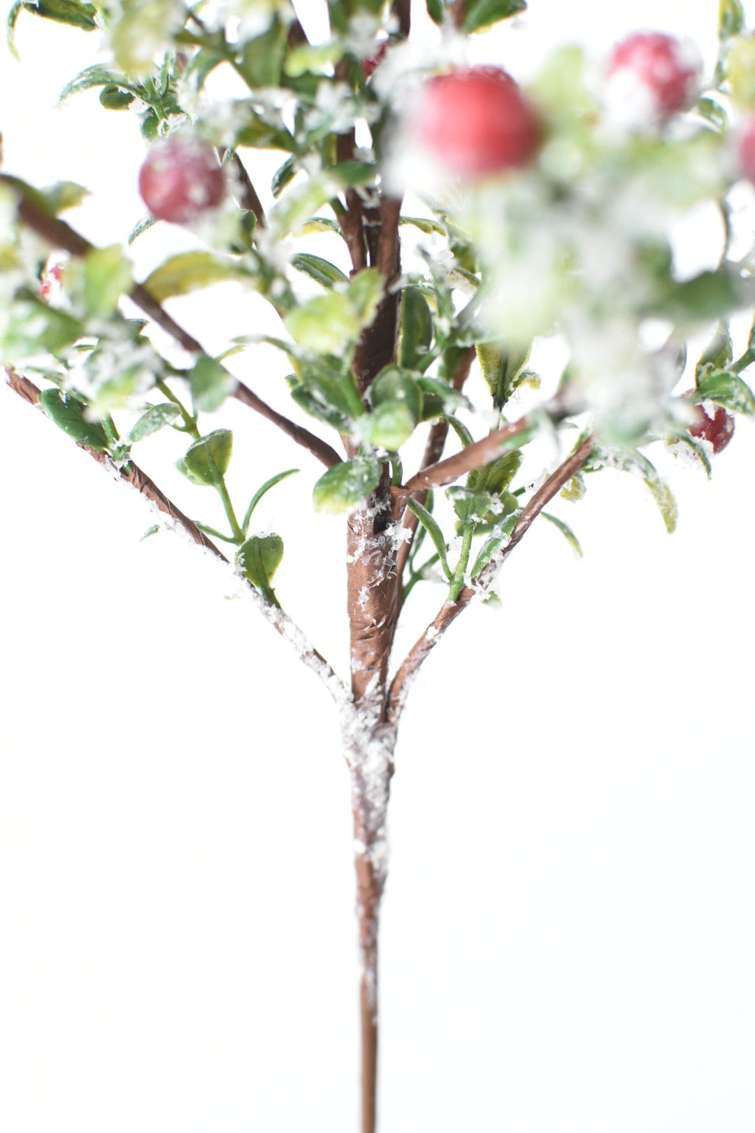 21" Faux Frosted Greenery with Red Berry Stem (Online Exclusive)
