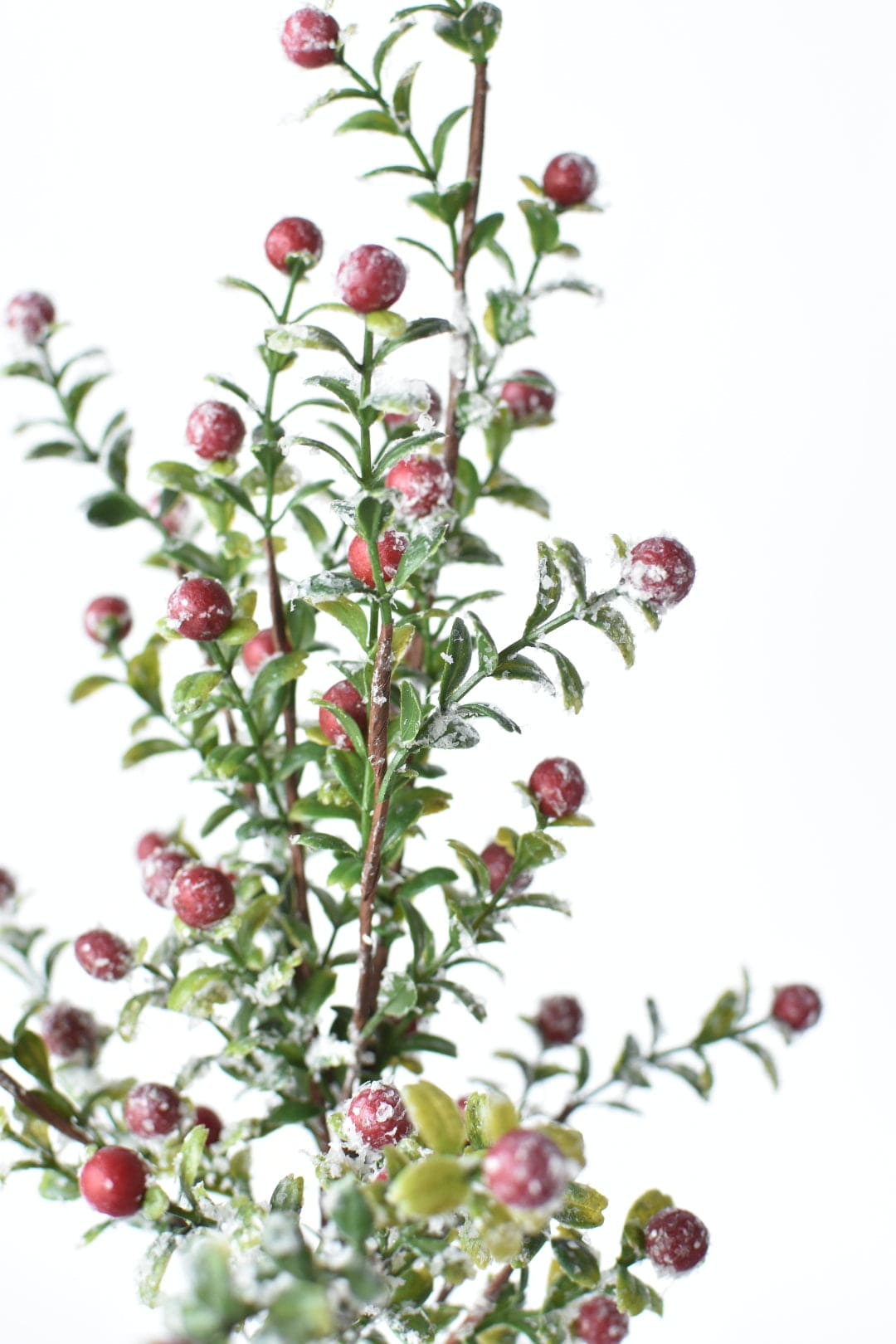 21" Faux Frosted Greenery with Red Berry Stem (Online Exclusive)