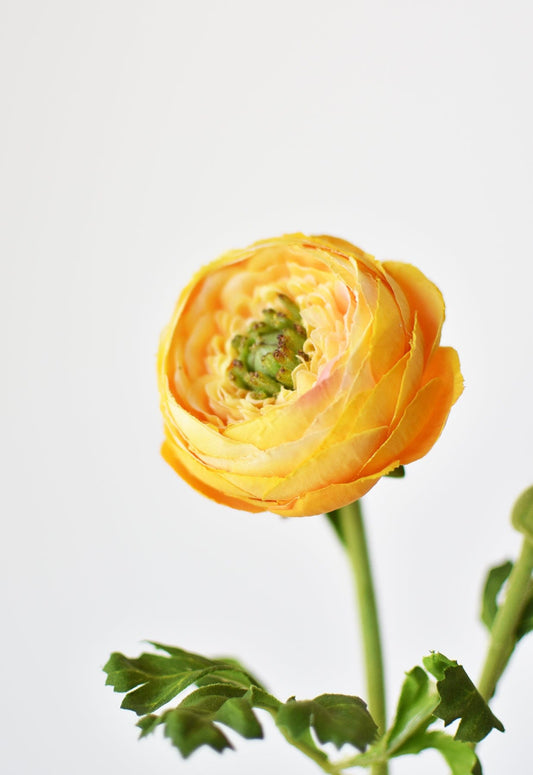 13" Faux Yellow Gold Ranunculus Stem (Online exclusive)
