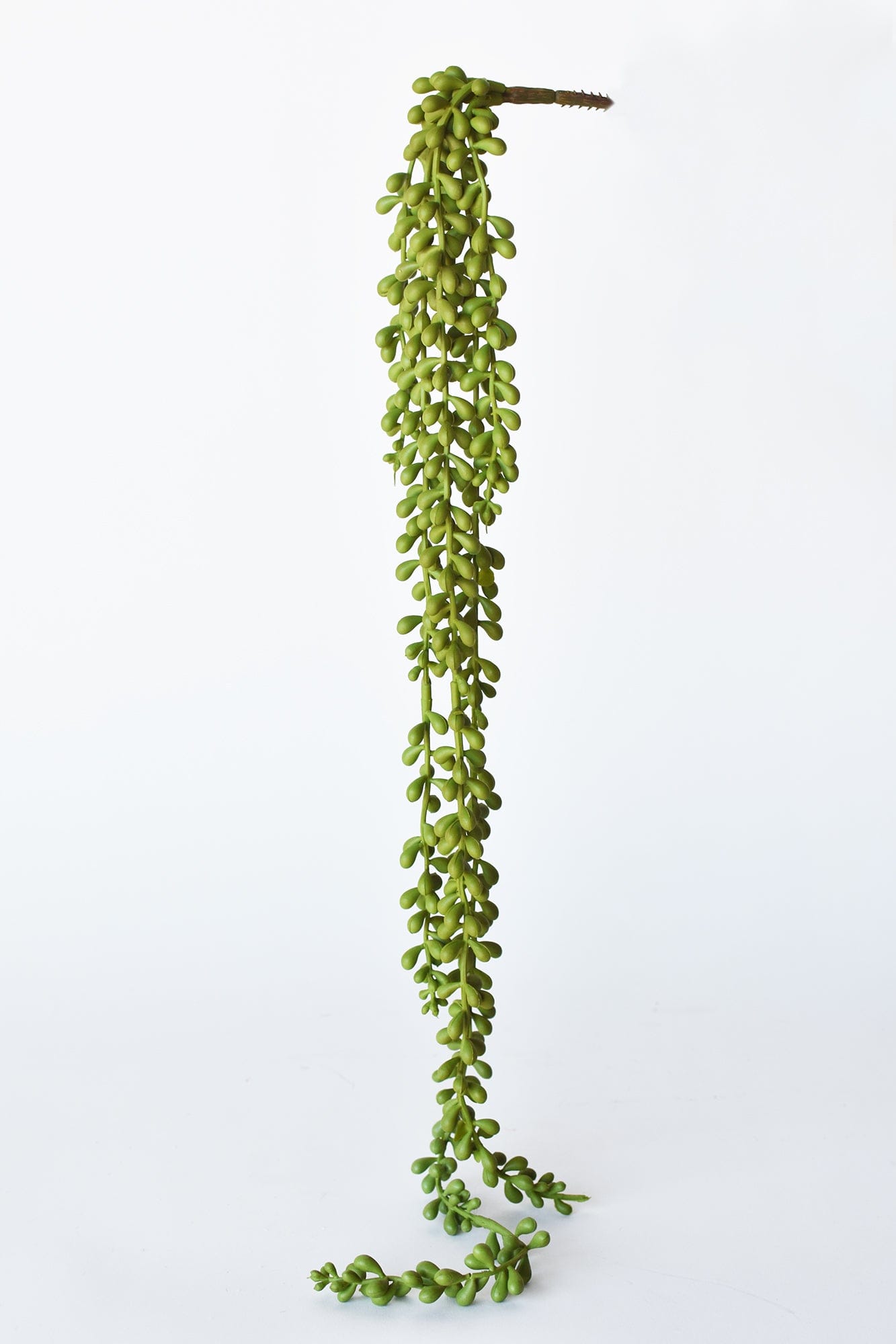 28" Faux String of Pearl Succulent Stem (Online exclusive)