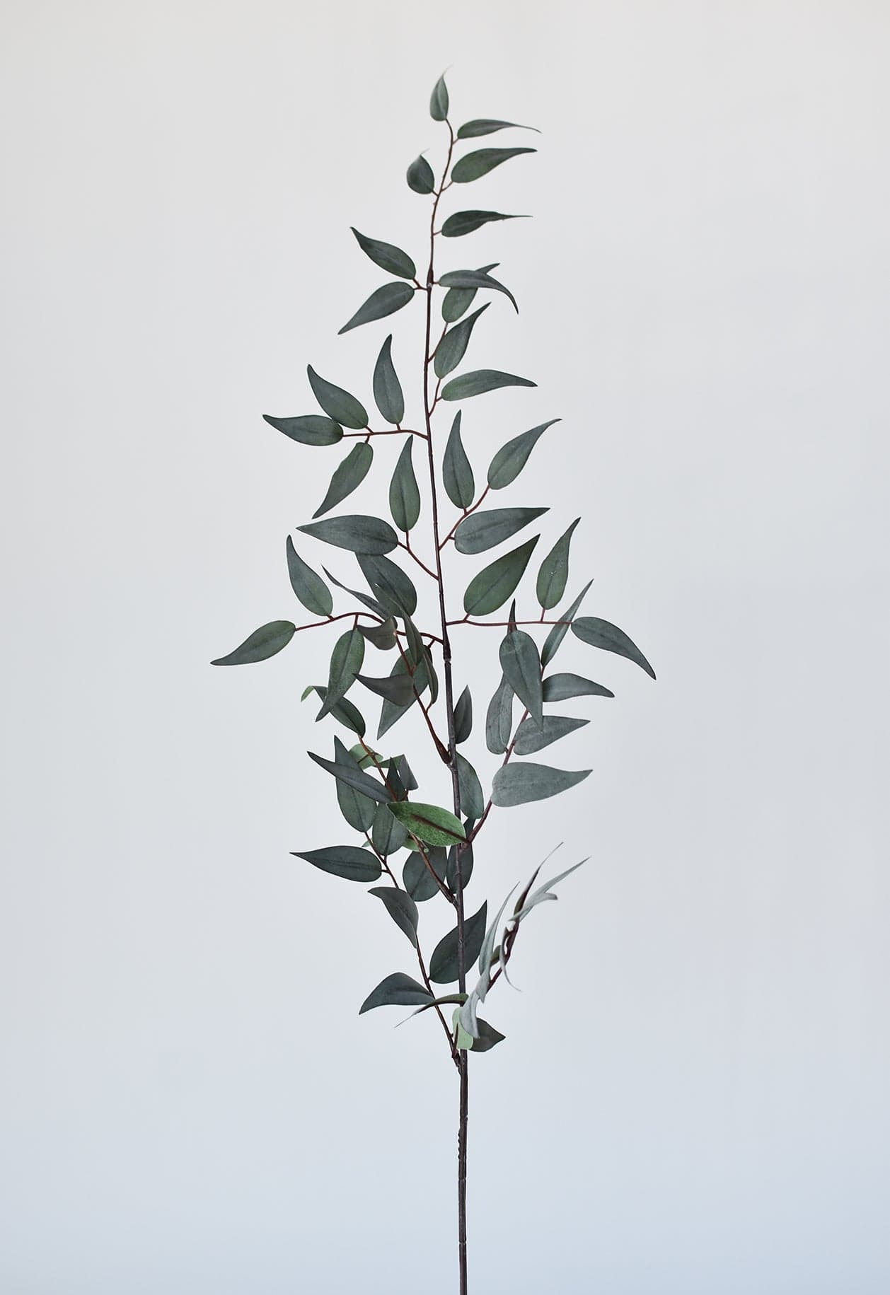 36" Faux Dark Green/Gray Ruscus Leaf Stem (Online exclusive)