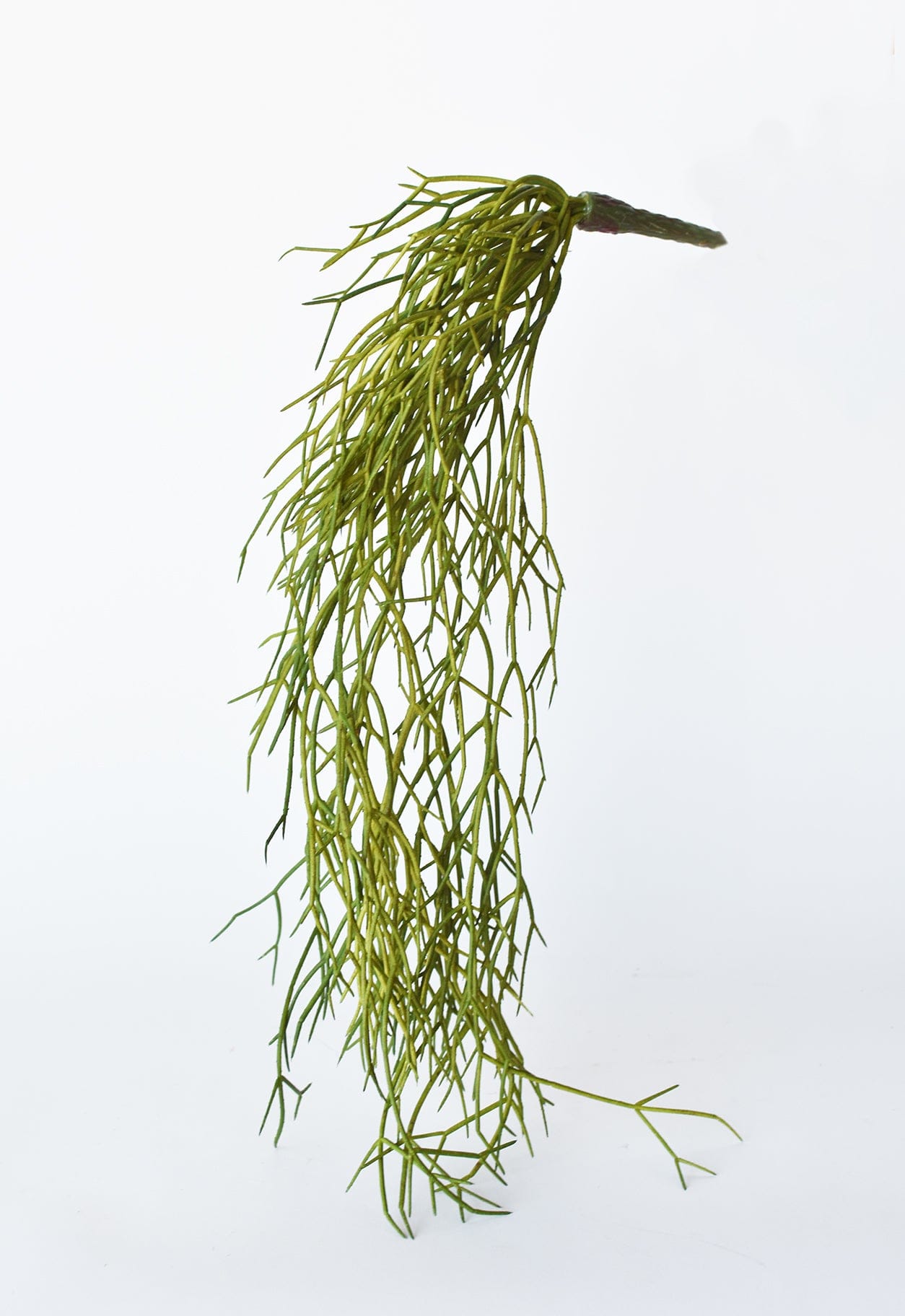 24" Faux Pencil Cactus Hanging Succulent Bush (Online exclusive)