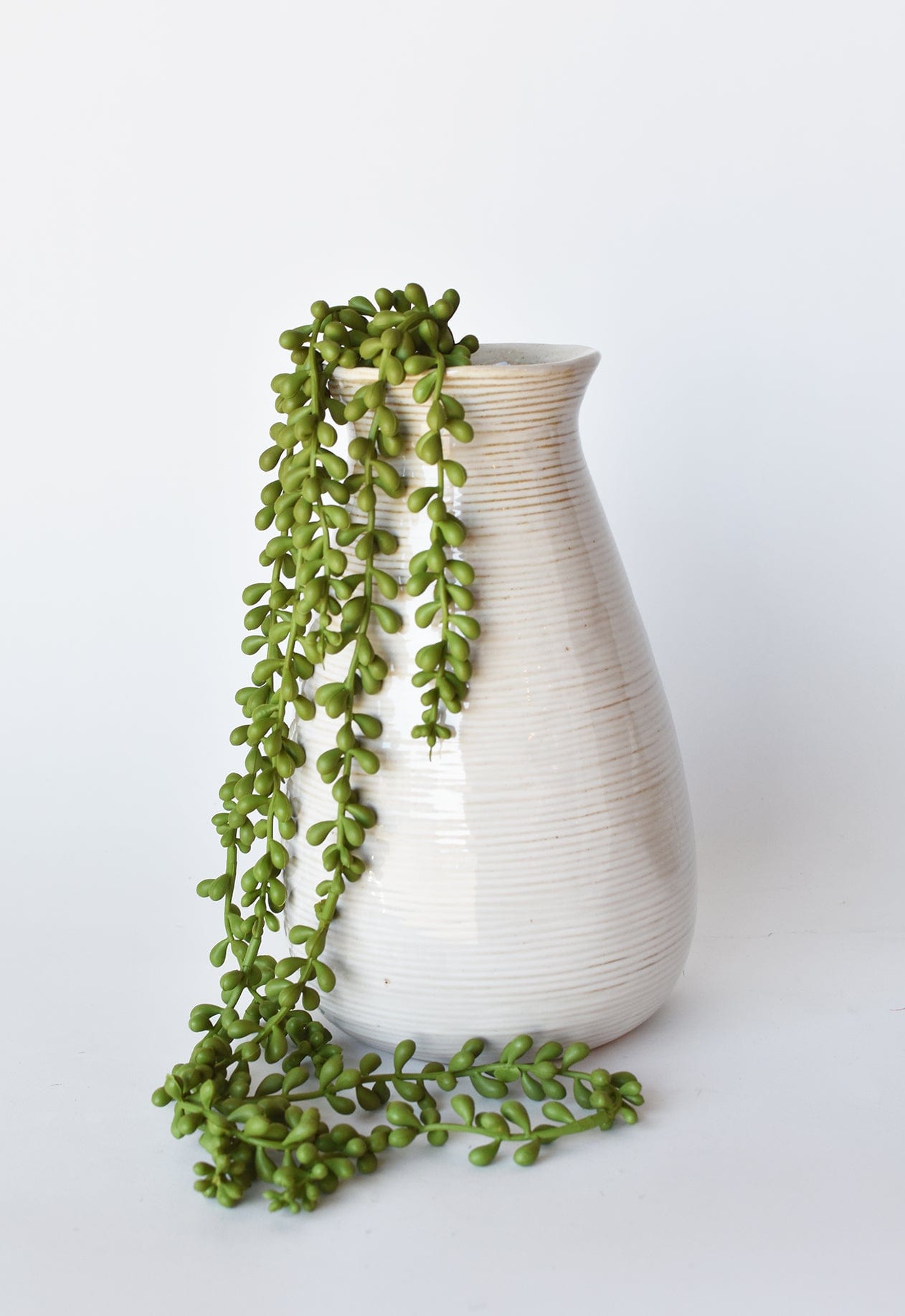 28" Faux String of Pearl Succulent Stem (Online exclusive)