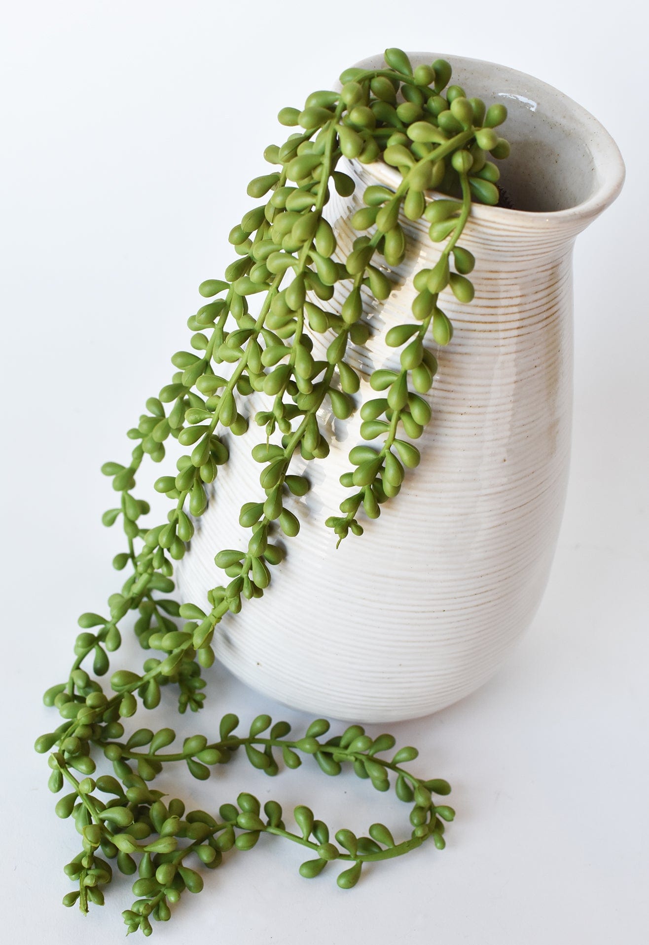 28" Faux String of Pearl Succulent Stem (Online exclusive)