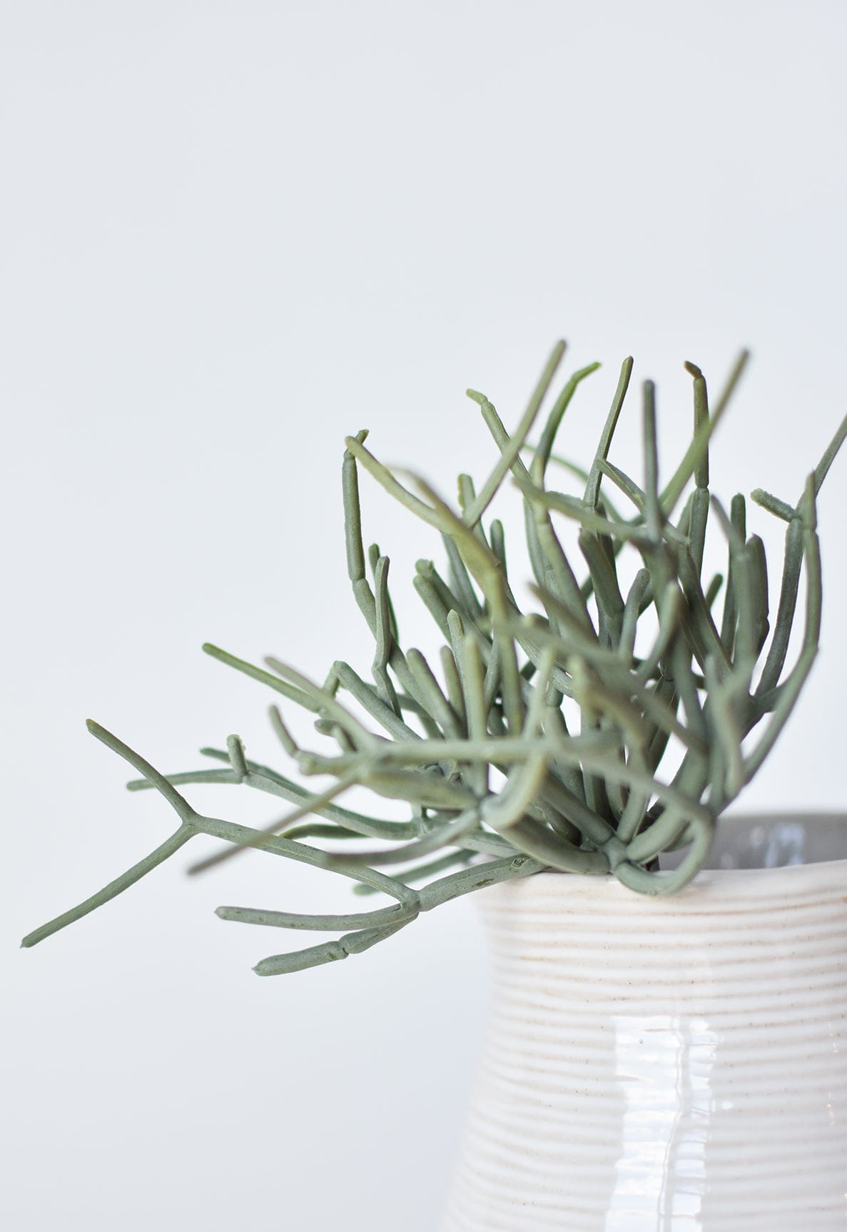 8" Faux Soft Touch Green/Gray Pencil Cactus Pick (Online exclusive)