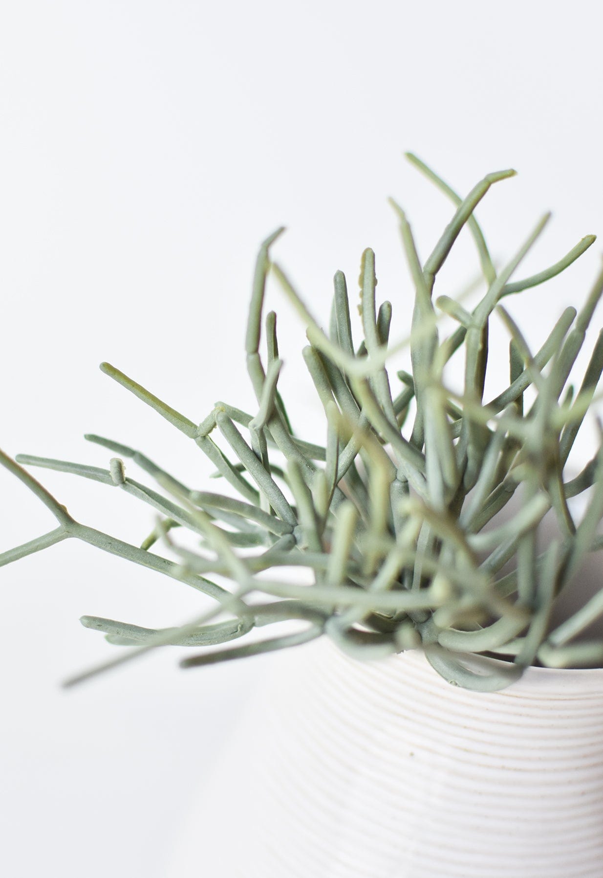 8" Faux Soft Touch Green/Gray Pencil Cactus Pick (Online exclusive)