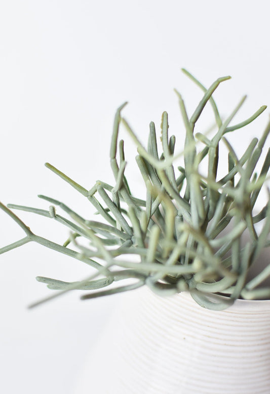 8" Faux Soft Touch Green/Gray Pencil Cactus Pick (Online exclusive)