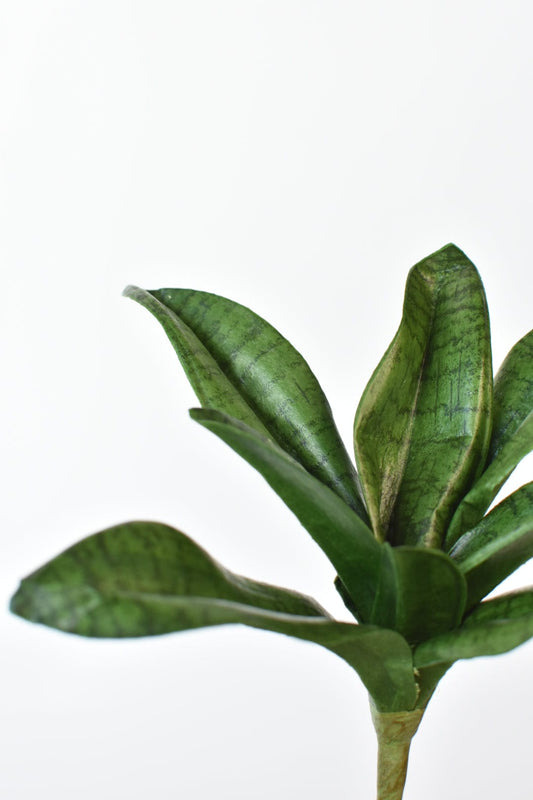 7" Faux Sanseveria Succulent Stem (Online Exclusive)