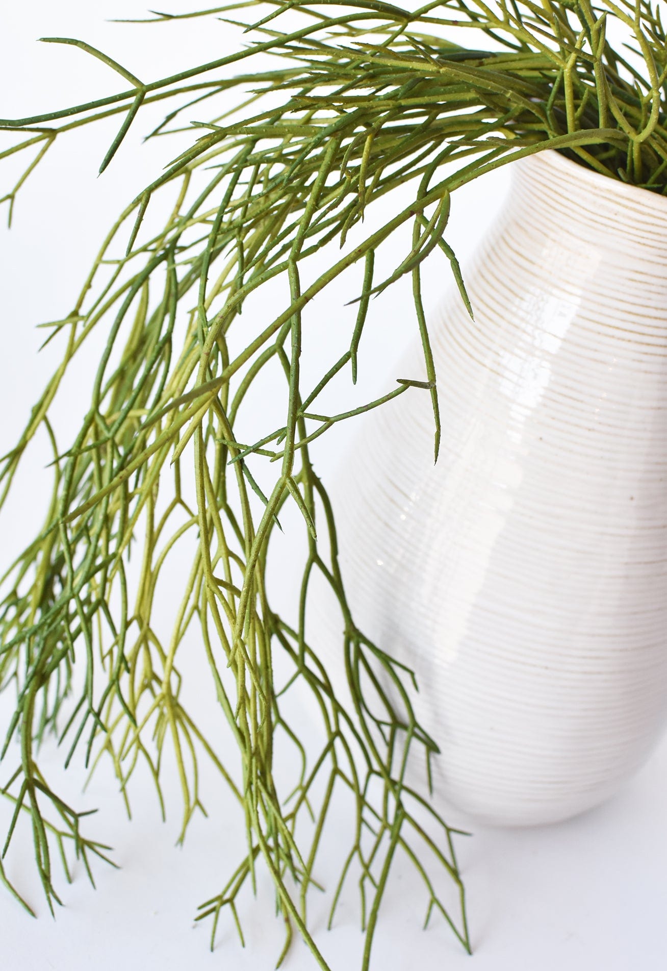 24" Faux Pencil Cactus Hanging Succulent Bush (Online exclusive)