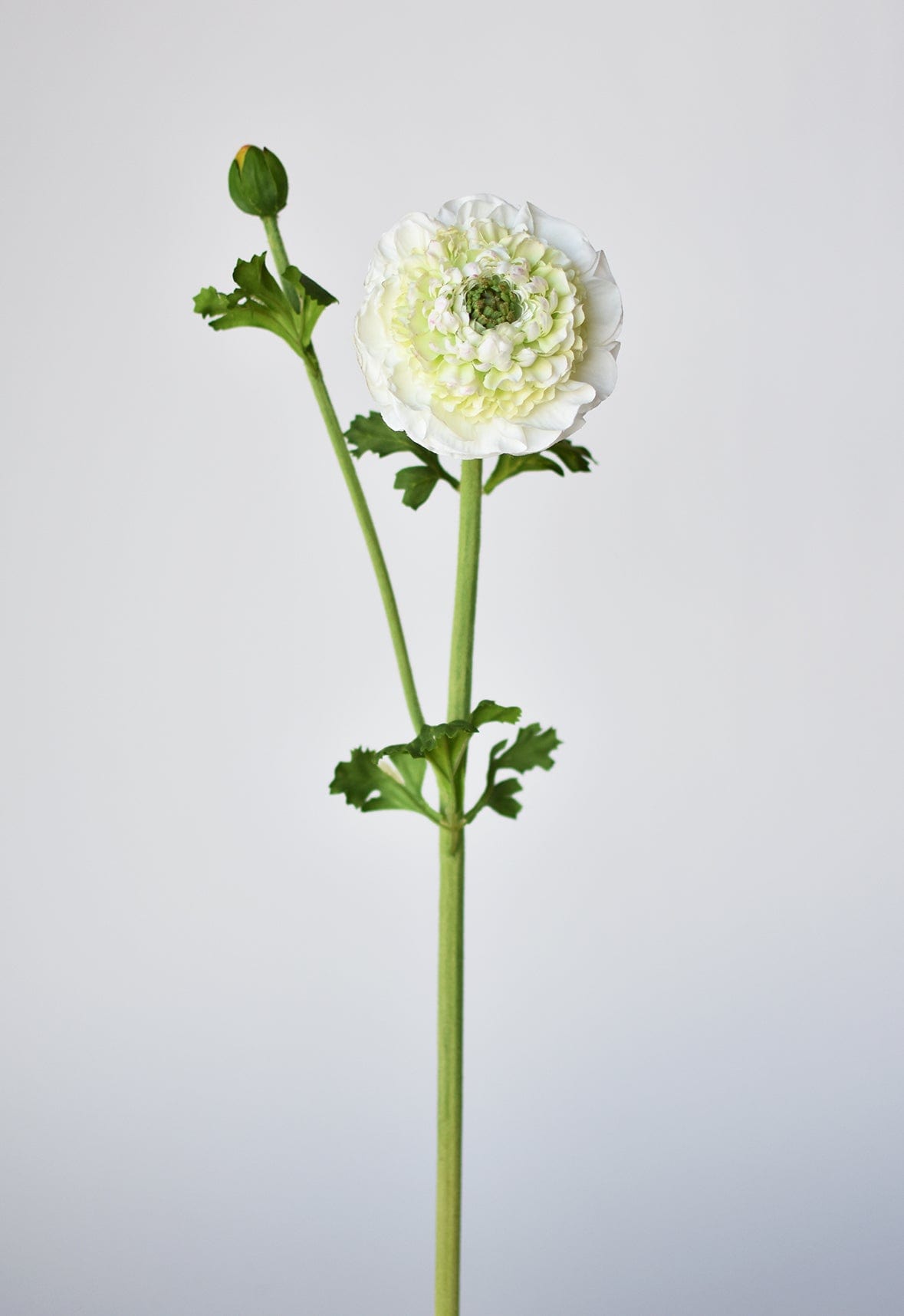 21" Faux Double Ruffled Ranunculus Stem White (Online exclusive)