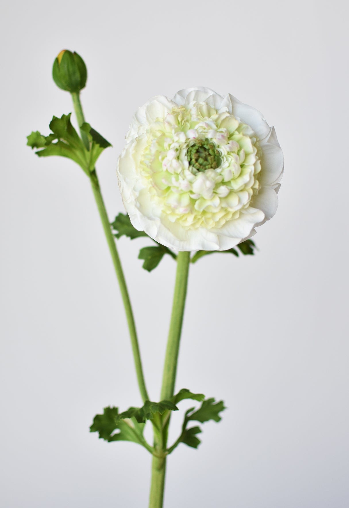 21" Faux Double Ruffled Ranunculus Stem White (Online exclusive)