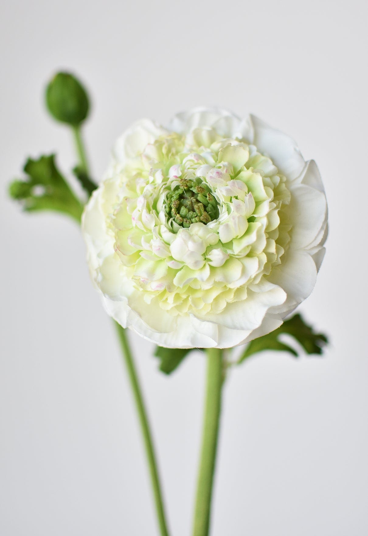 21" Faux Double Ruffled Ranunculus Stem White (Online exclusive)