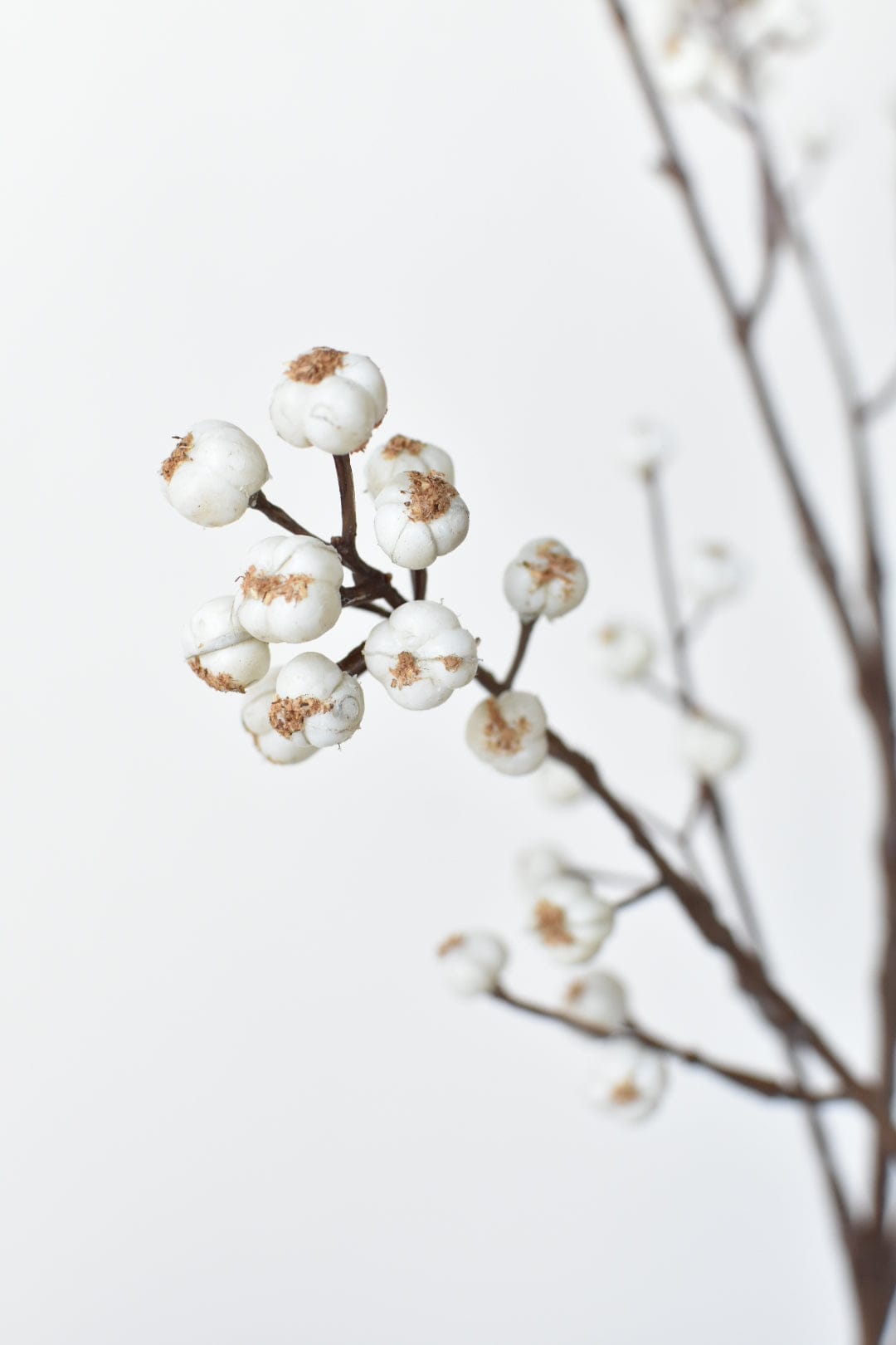 35" Faux Tallow Berry Branch Stem (Online exclusive)