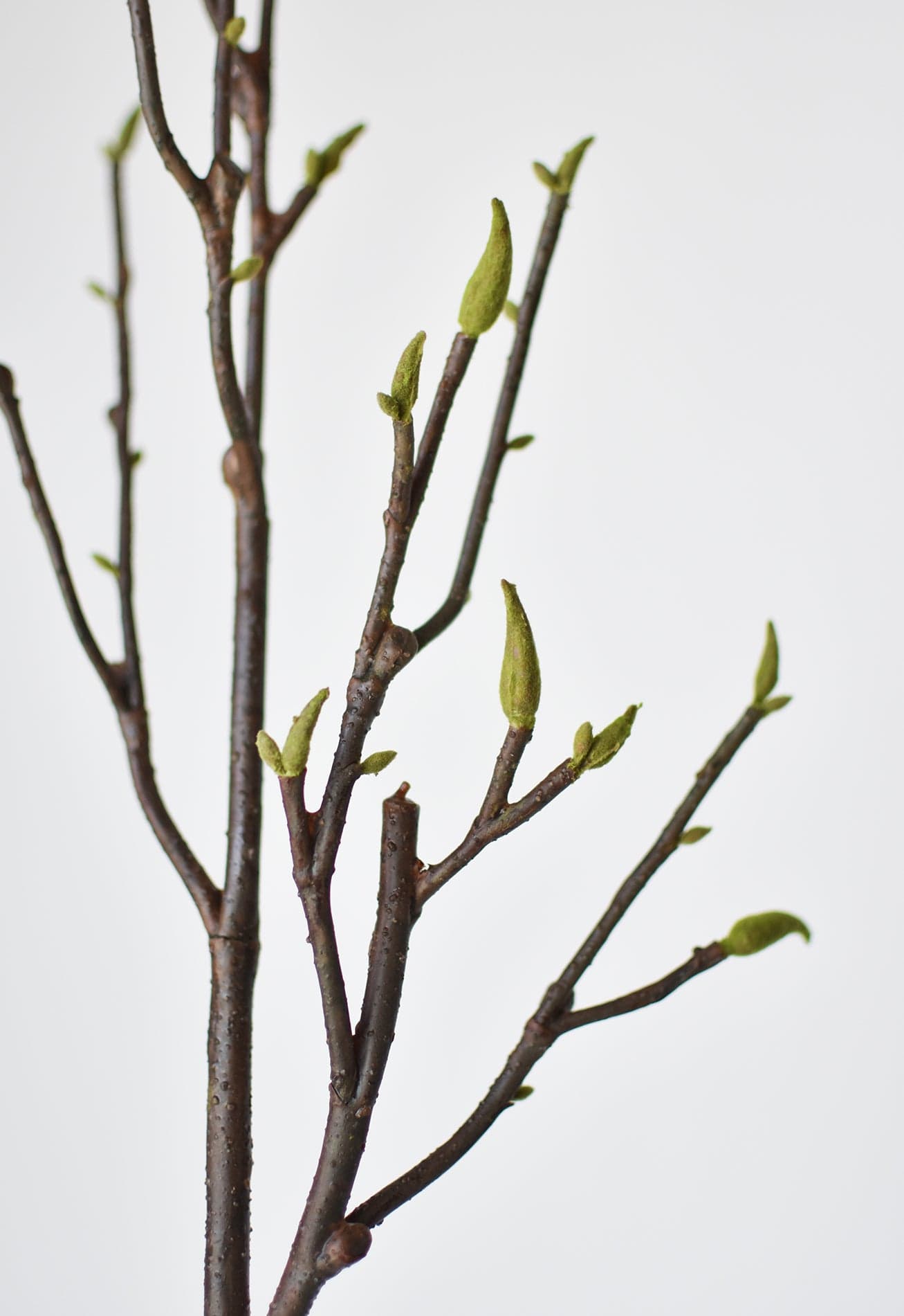36" Faux Magnolia Tree Branch Stem (Online exclusive)