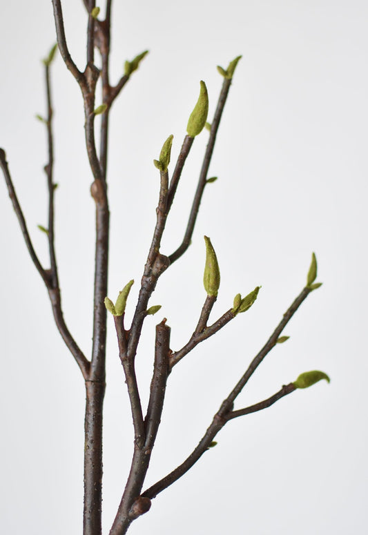 36" Faux Magnolia Tree Branch Stem (Online exclusive)