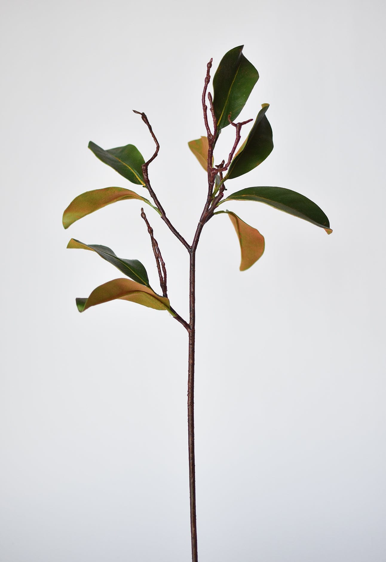 26" magnolia leaf branch (Online exclusive)
