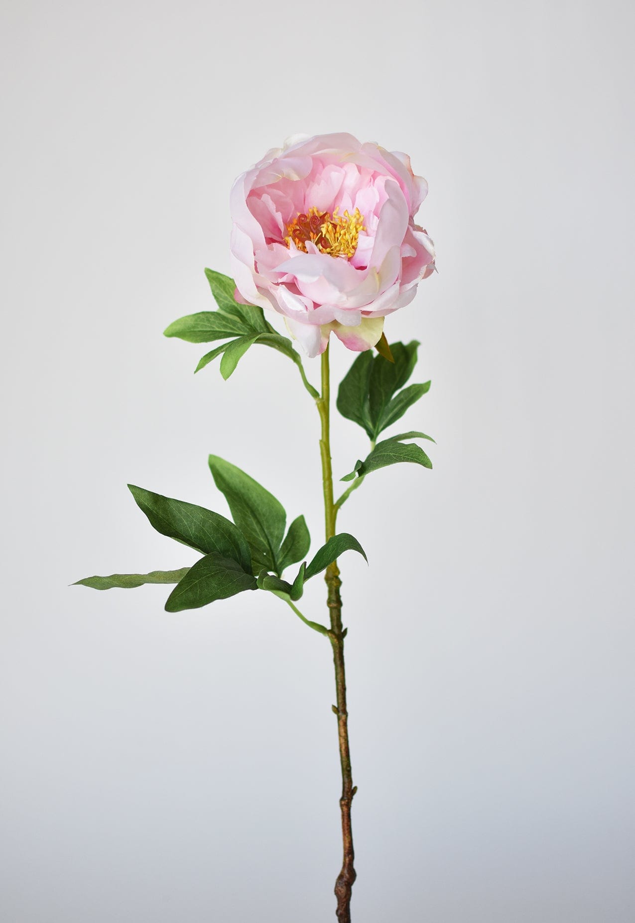 22" Faux Pink Peony Stem  (online exclusive)