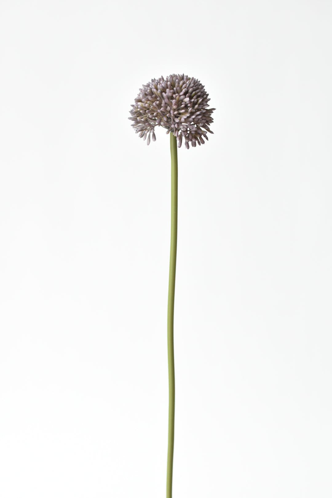 17.5" Faux Purple Allium Spray Stem (Online exclusive)