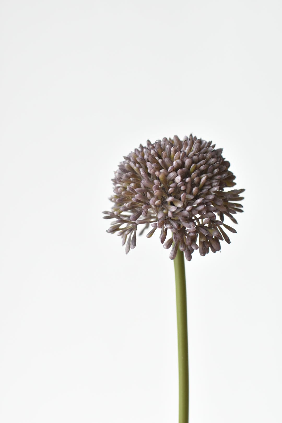 17.5" Faux Purple Allium Spray Stem (Online exclusive)