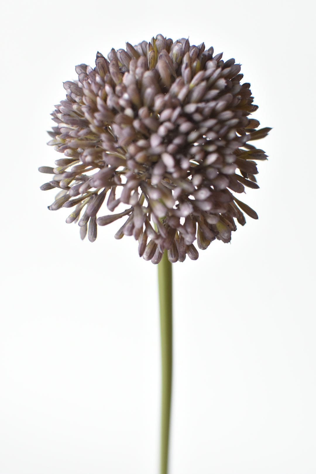 17.5" Faux Purple Allium Spray Stem (Online exclusive)