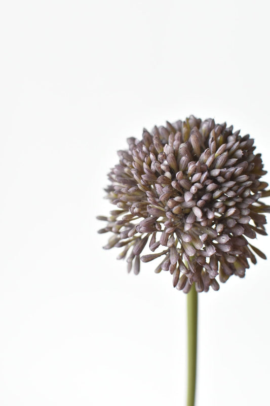 17.5" Faux Purple Allium Spray Stem (Online exclusive)