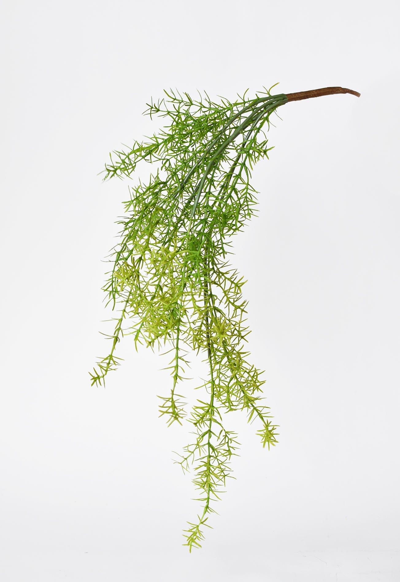 26" Faux Soft Asparagus Fern Sprengeri Bush (Online exclusive)