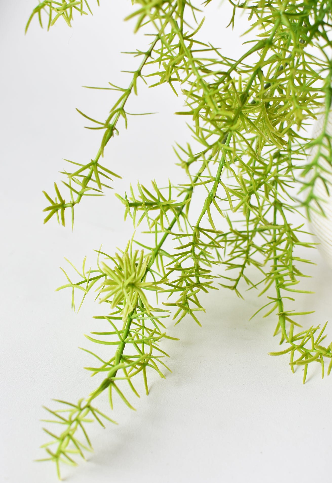 26" Faux Soft Asparagus Fern Sprengeri Bush (Online exclusive)