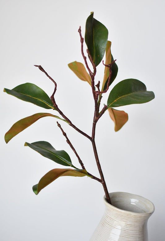 26" magnolia leaf branch (Online exclusive)