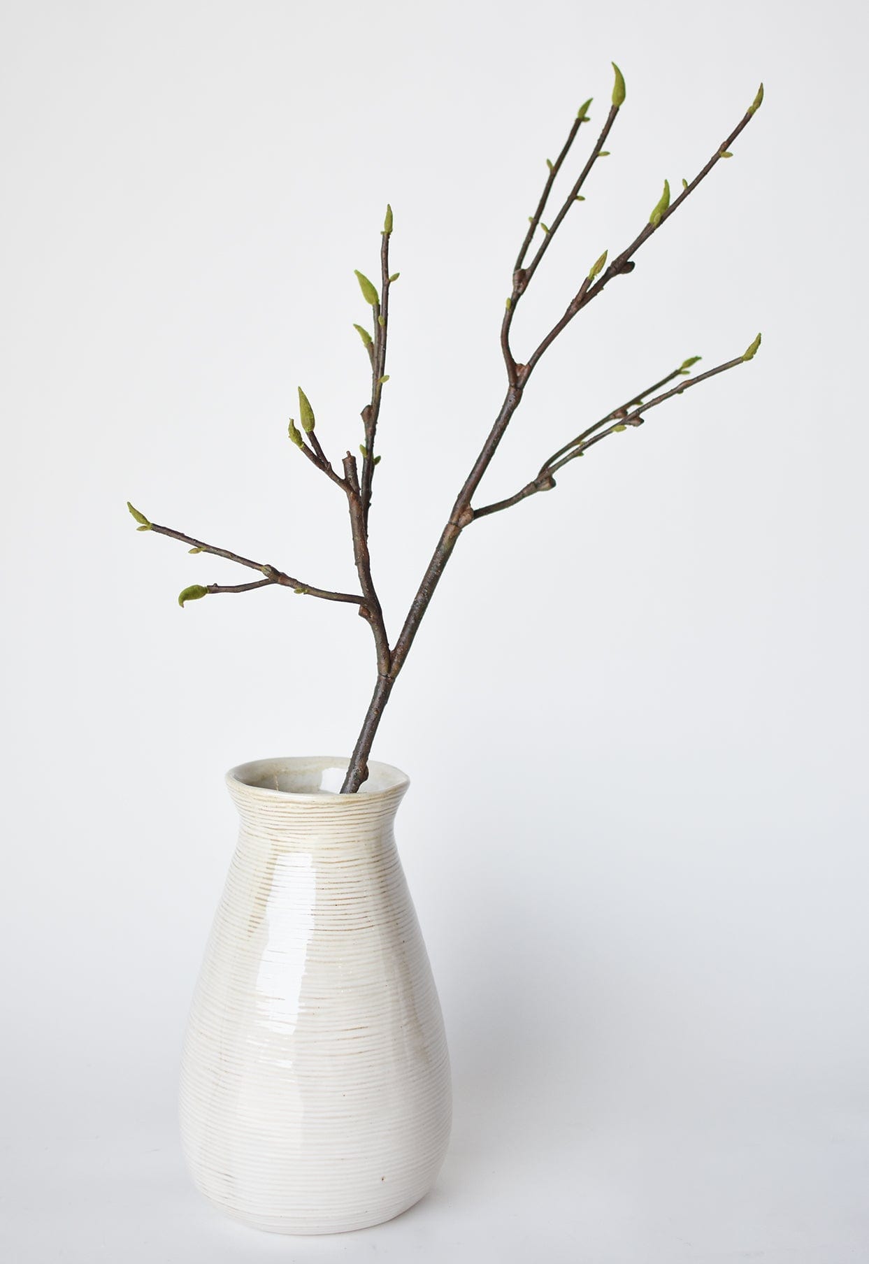 36" Faux Magnolia Tree Branch Stem (Online exclusive)