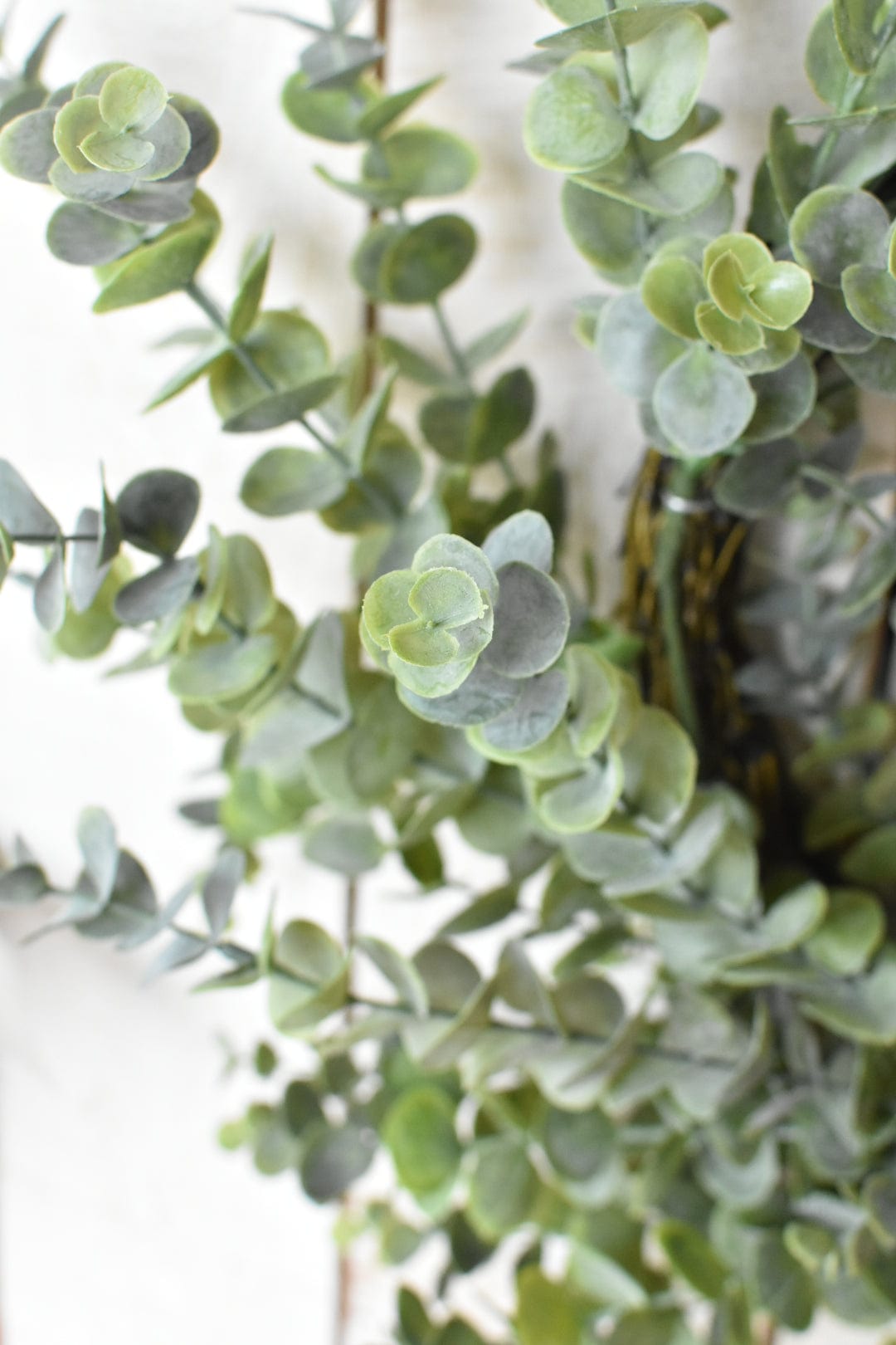 28" Faux Eucalyptus Wreath (Online exclusive)