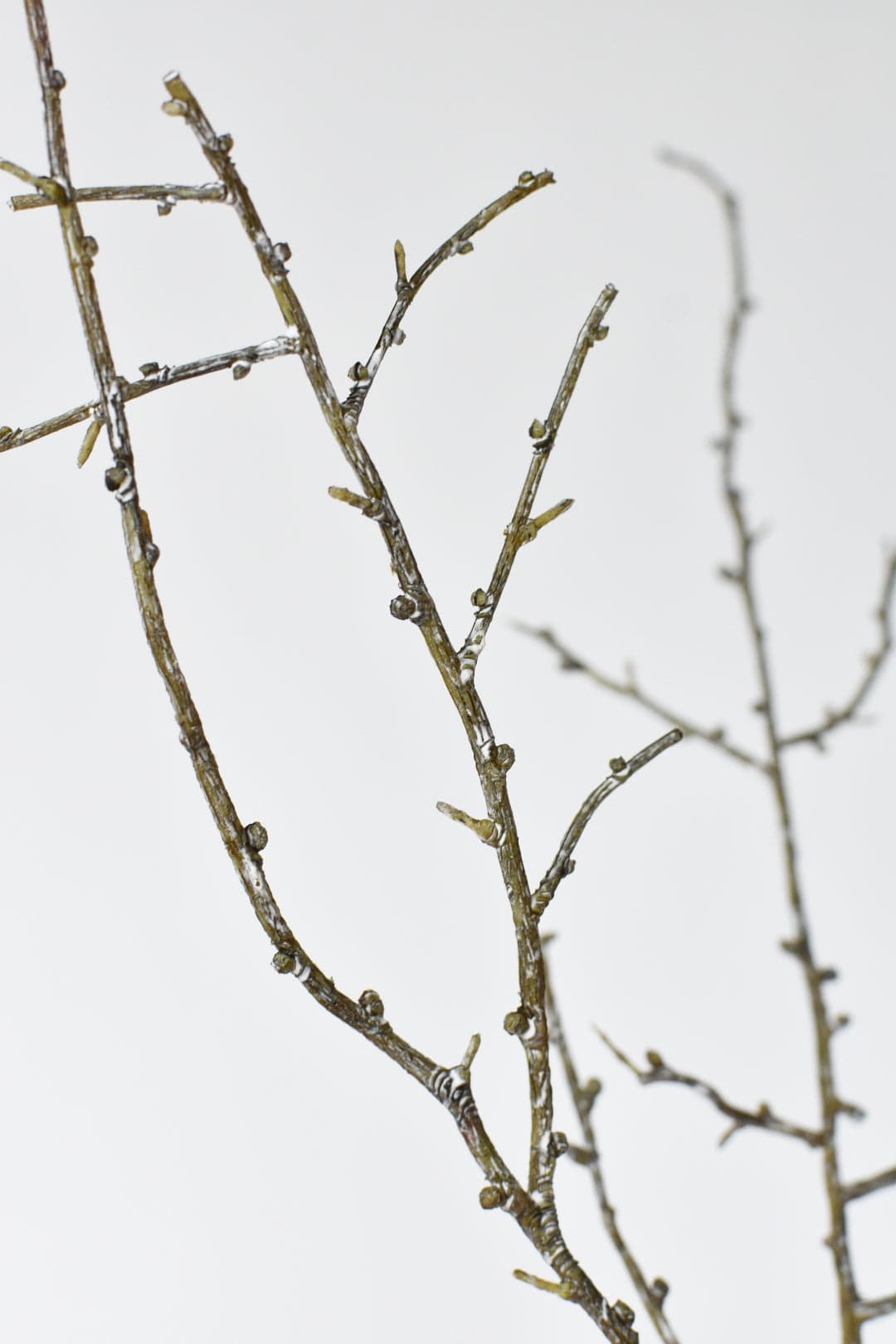 34" Faux Plastic Tree Branch (online exclusive)