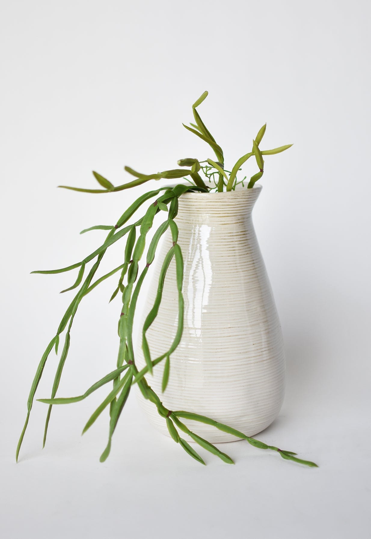 23" Faux Hanging Pencil Cactus Succulent Bush  (online exclusive)