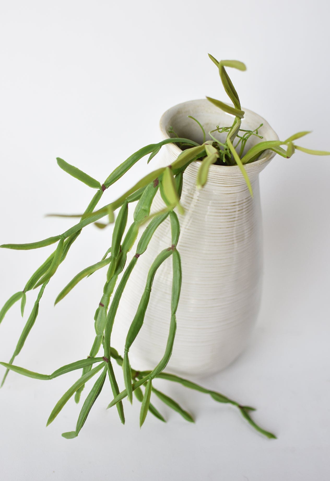 23" Faux Hanging Pencil Cactus Succulent Bush  (online exclusive)