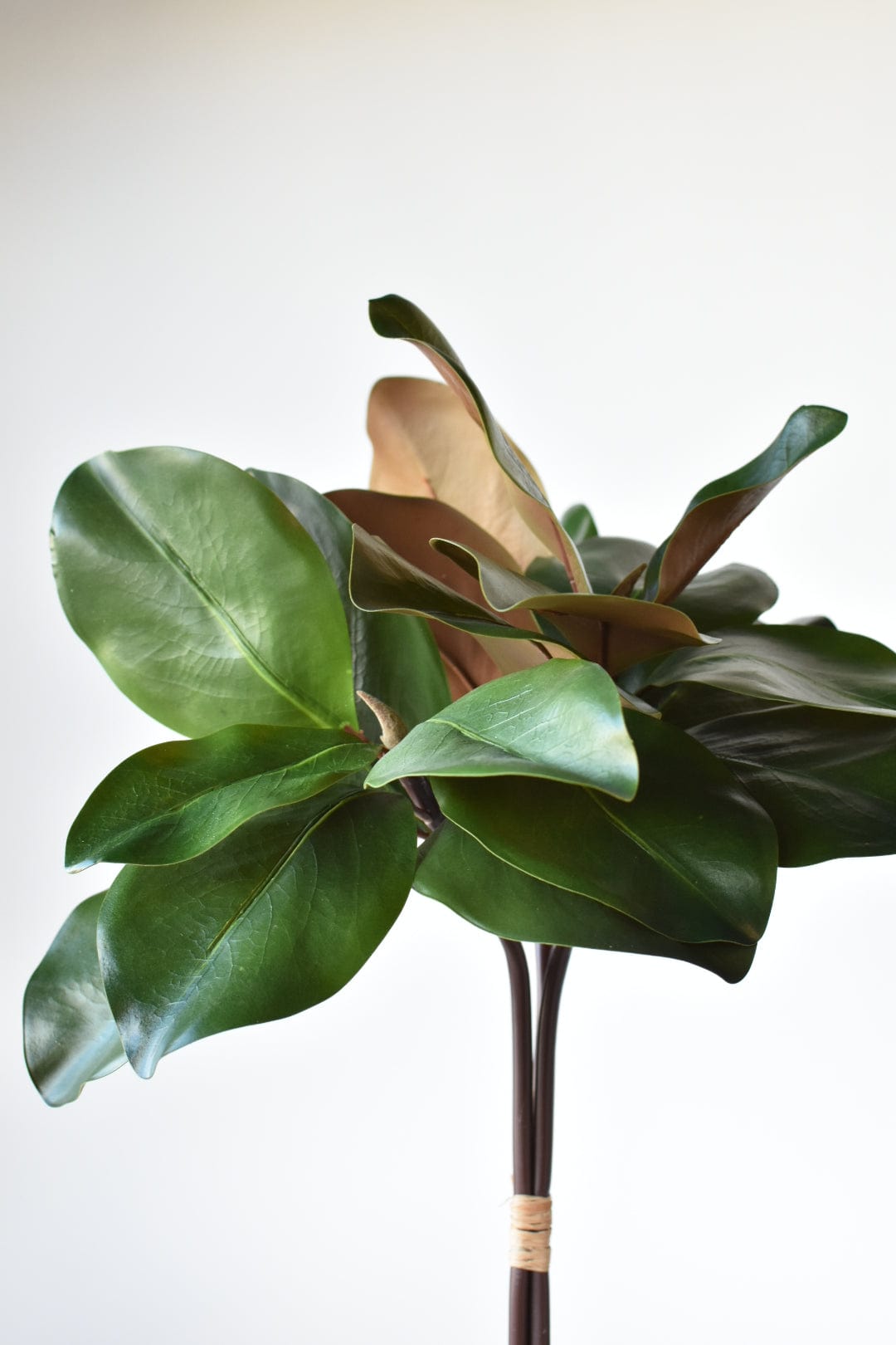 18" Faux Magnolia Leaf Bundle (Online exclusive)